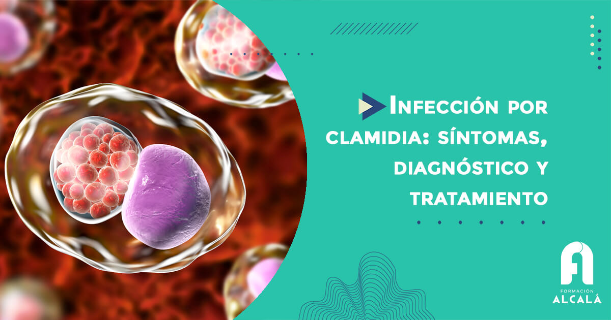Imagen de Infección por clamidia: síntomas, diagnóstico y tratamiento