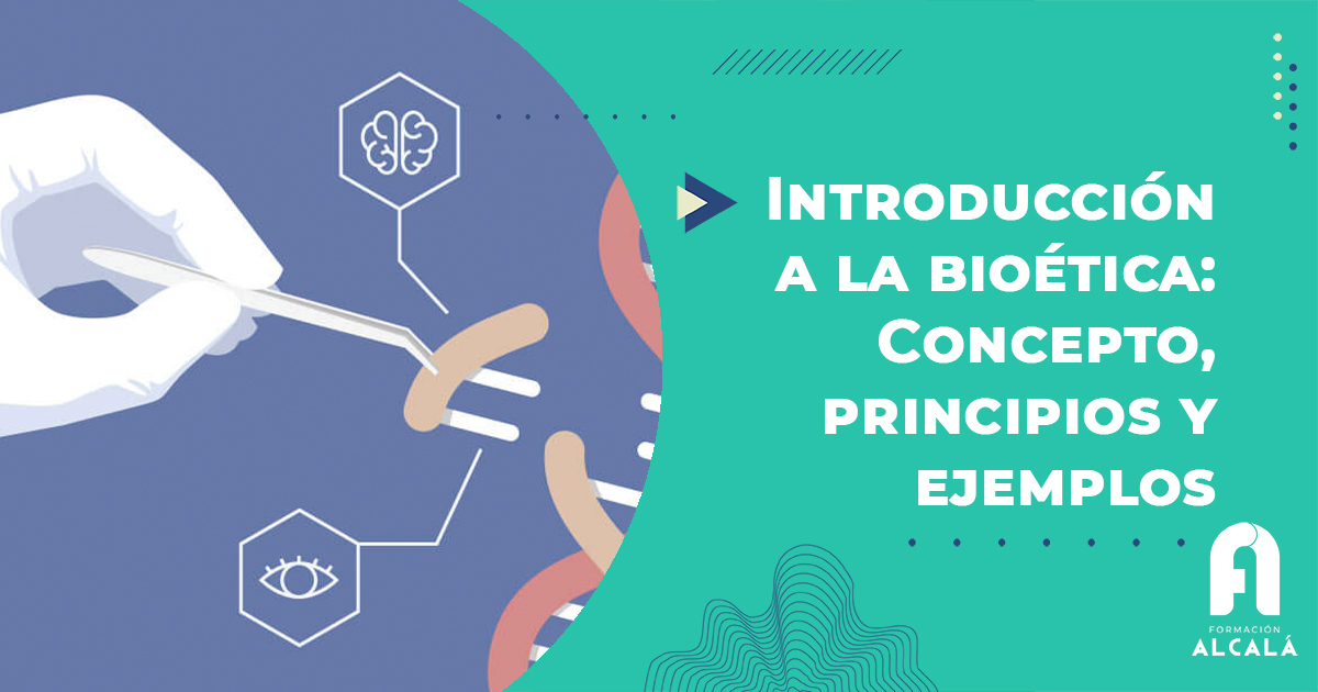 Imagen de Introducción a la bioética: Concepto, principios y ejemplos