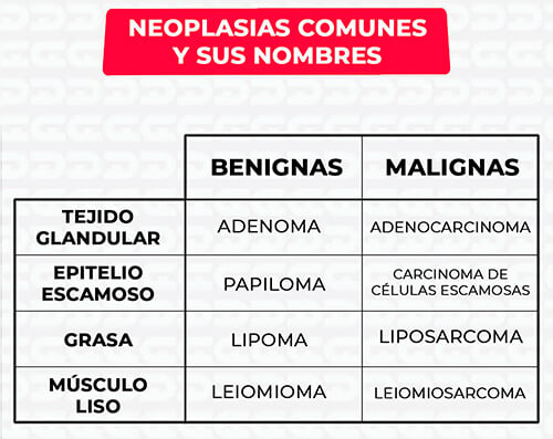 Mañana Suavemente Artesano Qué es la Neoplasia? | Formación Alcalá