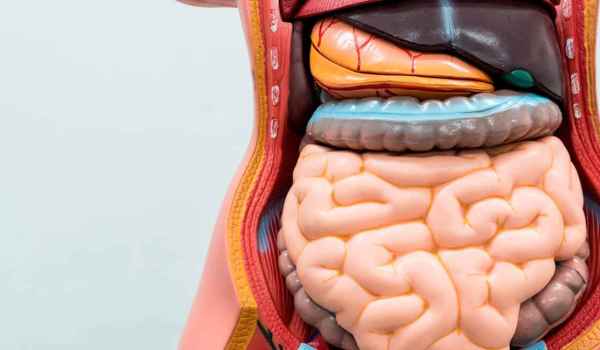 Curso de Urgencias Digestivas. Formación continuada sanitaria