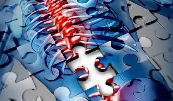 Curso de Intervención de terapia ocupacional en el paciente con lesión medular