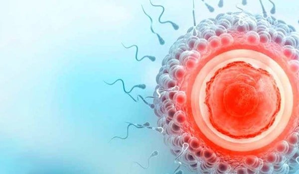 Curso Universitario en Técnicas Avanzadas en Embriología de Reproducción Humana Asistida