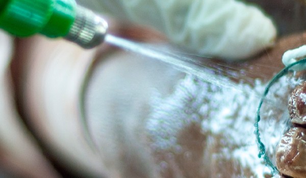 Curso Superior Universitario en Conservación Transitoria y Embalsamamiento de Cadáveres con Productos Biocidas