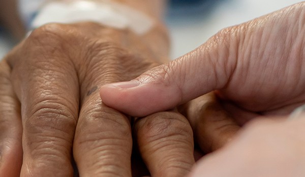 Curso Universitario en Cuidados Paliativos: Acompañamiento y Atención del Paciente Terminal