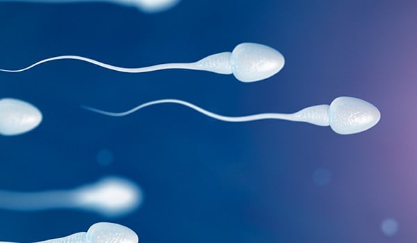 Máster de Formación Permanente en Genética Clínica y Reproducción Humana