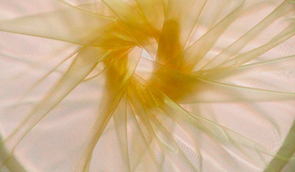 Transporte sanitario de pacientes pediátricos y neonatos en estado crítico