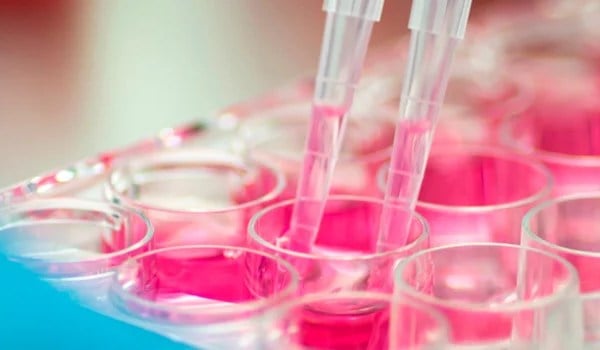 Cultivo celular en anatomía patológica y citodiagnóstico