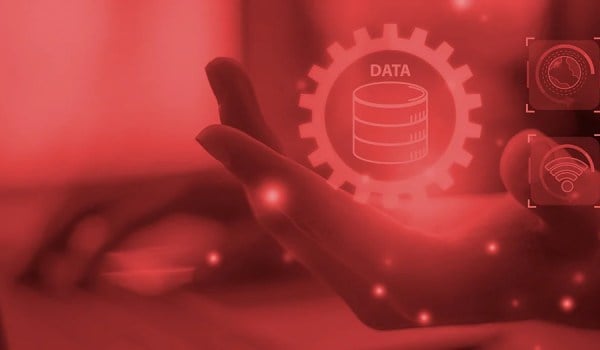 Curso Universitario en Creación de Empresas Virtuales. Bases de Datos y Formas Jurídicas