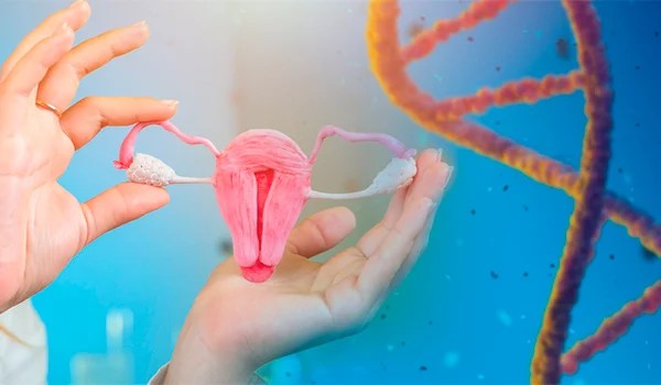 Curso Universitario en Genética Reproductiva y Screening Prenatal