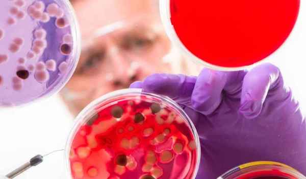 Curso Superior Universitario en Novedades y Puesta al Día en Enfermedades Infecciosas en Pediatría