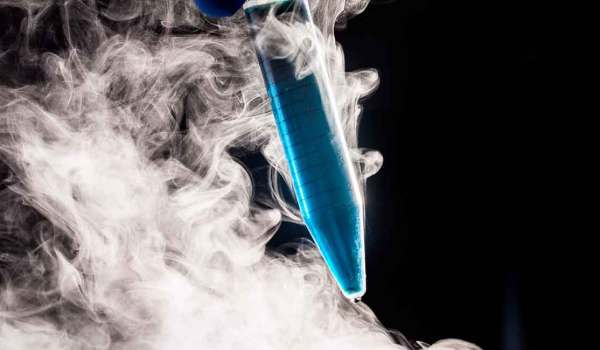 Curso Superior Universitario en el Estudio de los Líquidos Biológicos desde el Laboratorio