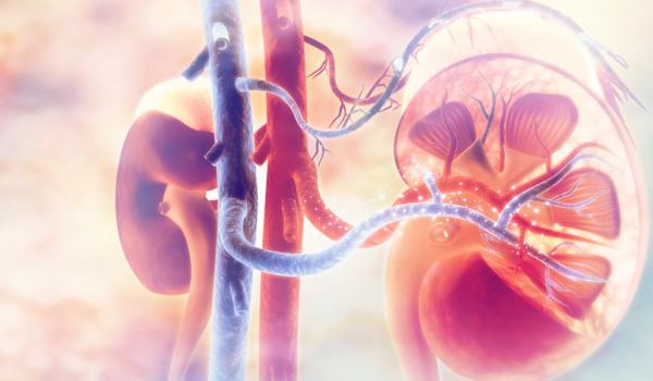 Máster de Formación Permanente en Nefrología Clínica, Trasplante Renal y Hemodiálisis