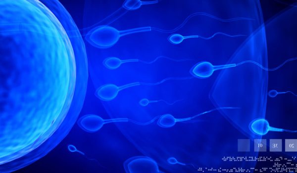 Máster de Formación Permanente en Genética Clínica y Reproducción Humana