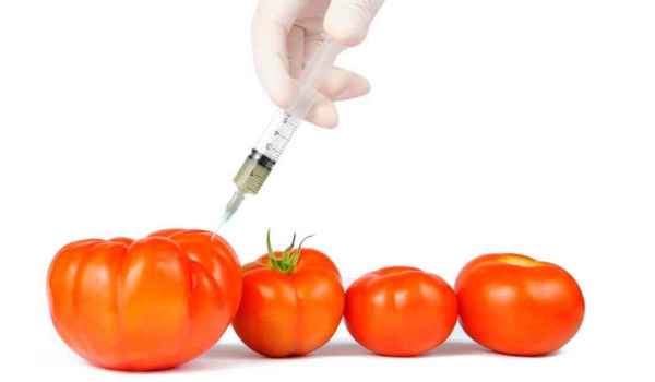 Curso Superior Universitario en manipulación básica de alimentos