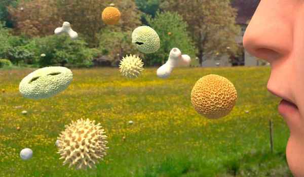 Experto universitario internacional en alergología