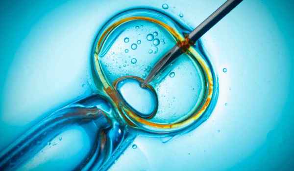 Curso en Actualización en reproducción humana asistida