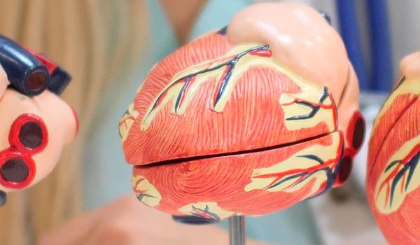 Especialista Universitario en Cuidados al Enfermo Crítico con Patología Cardiovascular