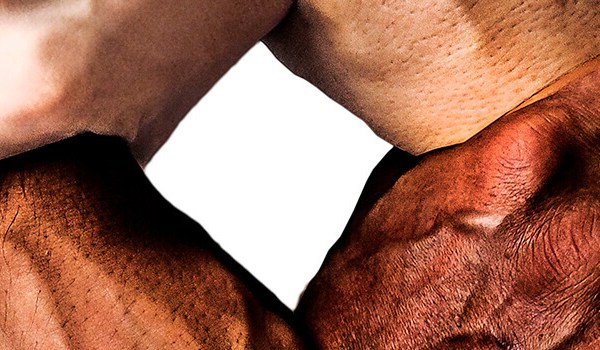 Curso de Inmigración