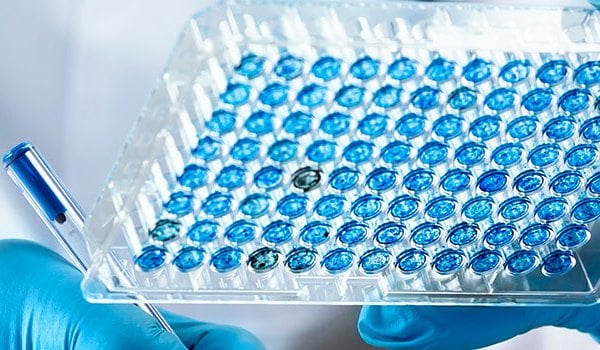 Experto Universitario en Investigación Biomédica en el Contexto Asistencial