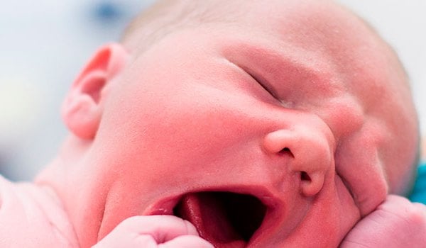 Experto Universitario Internacional en Atención a la Gestante para Matronas