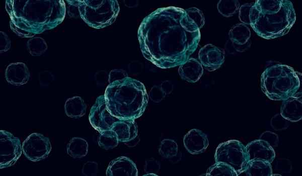 Curso Superior Universitario en enfermedades infecciosas virales