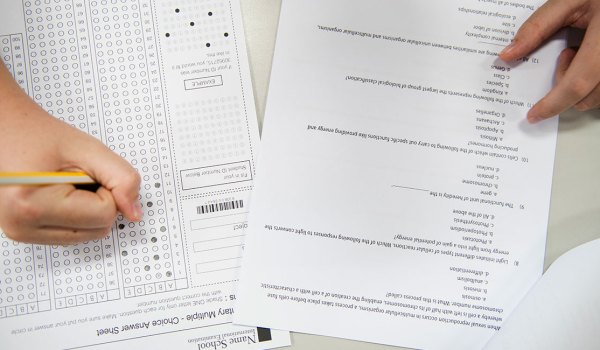 Curso Superior Universitario en pediatría y sus áreas específicas a través de preguntas y respuestas razonadas