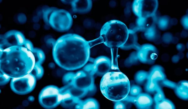 Curso Superior Universitario en biología molecular