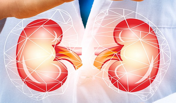 Experto Universitario en Nefrología, Diálisis y Trasplante