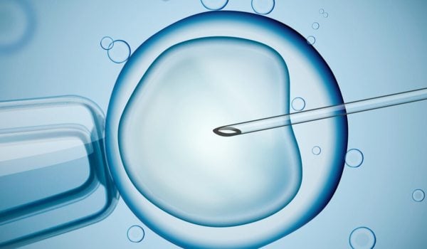 Curso Universitario en Nuevos Tratamientos para Mejorar la Fertilidad