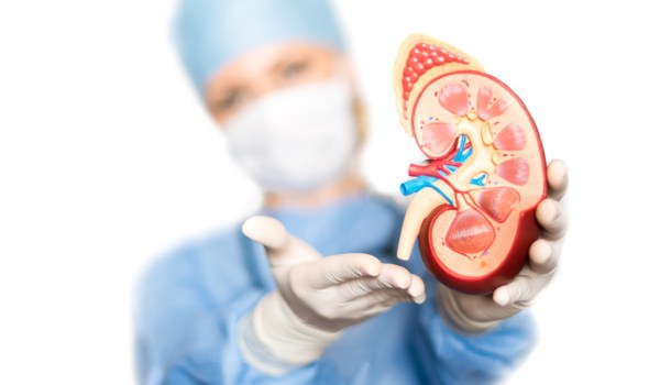 Curso Superior Universitario en Puesta al Día en Nefrología