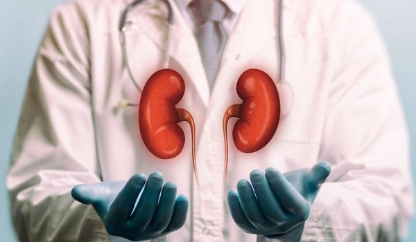 Curso Superior Universitario en Atención y cuidados en nefrología y alteraciones renales