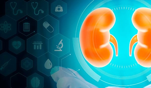 Máster de Formación Permanente en Nefrología Clínica, Trasplante Renal y Hemodiálisis