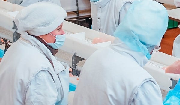 Curso de Sistemas de Acondicionamiento y Elaboración de los Alimentos