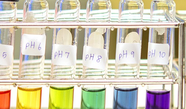 Curso de Interpretación Práctica de las Alteraciones Iónicas y del Equilibrio Ácido-Base