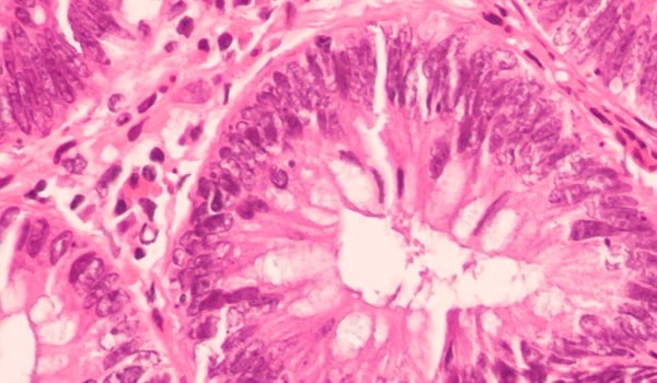 Curso de Procesado Citológico y Tisular