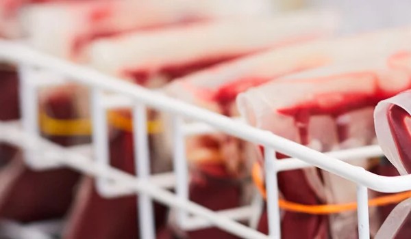 Curso de Banco de Células y Tejidos: Nuevas Perspectivas en Trasplante