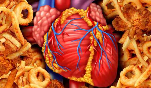 Curso de Nutrición en las enfermedades cardiovasculares