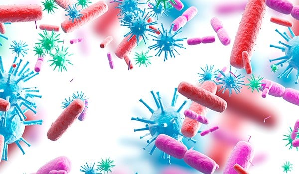 Experto Universitario en Actualización en Diagnóstico Microbiológico, Tratamiento Antimicrobiano e Investigación en Patología Infecciosa