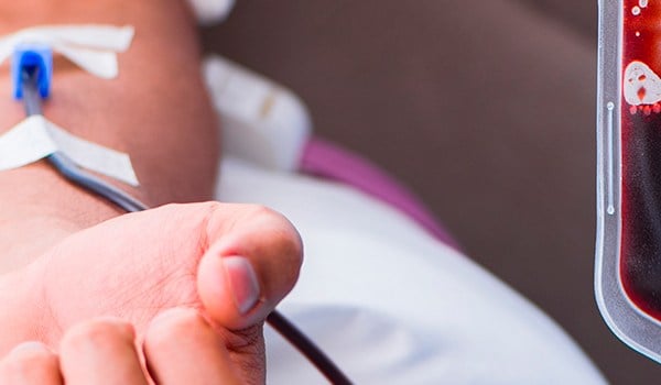 Curso Superior Universitario en Hemoterapia