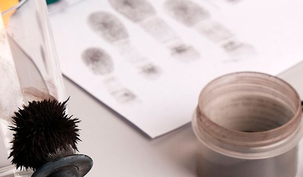 Curso Superior Universitario en Auxiliar de Investigación Criminal y Delitos