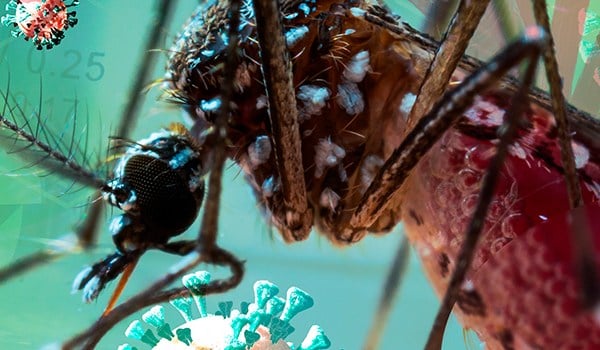 Máster de Formación Permanente en Enfermedades Tropicales y Salud Global