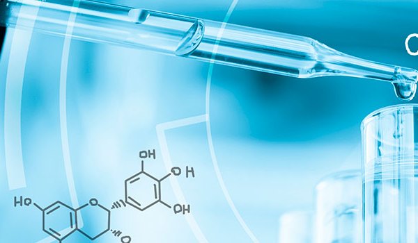 Especialista Universitario en Investigación e Innovación en Cuidados de Enfermería
