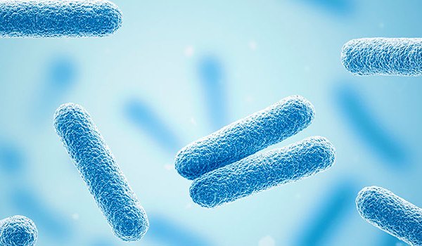 Experto Universitario en Infectología Aplicada a la Enfermería