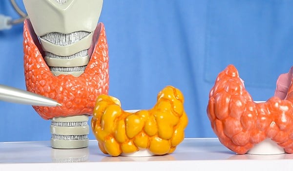 Máster de Formación Permanente en Endocrinología, Metabolismo y Nutrición para Enfermería