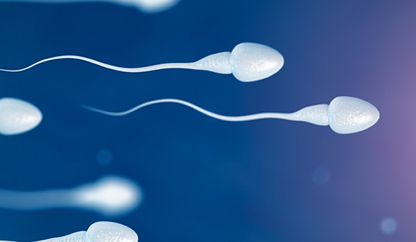 Máster de Formación Permanente en Genética Clínica y Reproducción Humana