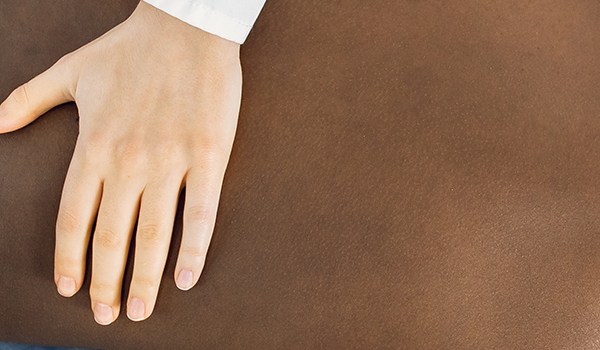 Curso Universitario en Eficacia del Ejercicio Terapéutico en Fisioterapia para el Manejo del Dolor Lumbar Crónico