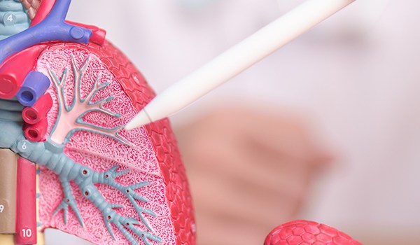 Curso Universitario en Abordaje Pediátrico de Patologías Respiratorias y Urgencias Críticas