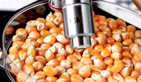 Curso de Alimentos Transgénicos