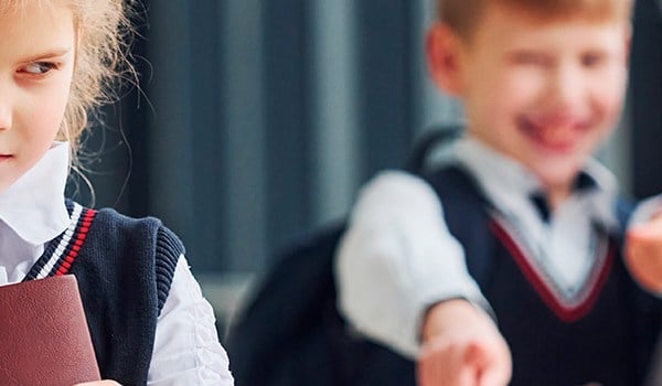 Curso de Prevención del Acoso Escolar. Promoción y Mejora de la Convivencia