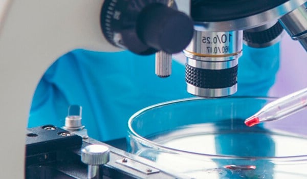 Curso de Introducción a los Estudios Clínicos y Epidemiológicos